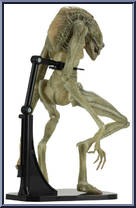 Newborn Alien from Alien Resurrection - Deluxe manufactured by Neca [Loose]