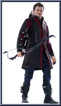 Hawkeye from Avengers - Age of Ultron manufactured by Hot Toys [Loose]