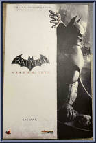 Batman  from Batman - Arkham City manufactured by Hot Toys [Front]