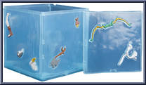 Gelatinous Cube from Dungeons & Dragons - Golden Archive manufactured by Hasbro [Loose]