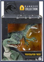 Velociraptor Delta from Jurassic World - Hammond Collection - Dinosaurs manufactured by Mattel [Front]
