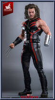 Wolverine (Age of Apocalypse) (Artisan Edition) Action Figure