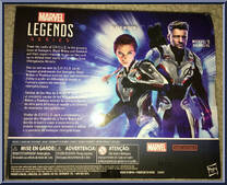 Hawkeye / Black Widow from Marvel Legends - Infinite Series - Exclusives manufactured by Hasbro [Back]