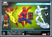 Spider-Man and His Amazing Friends from Marvel Legends - Infinite Series - Multi-Packs manufactured by Hasbro [Back]