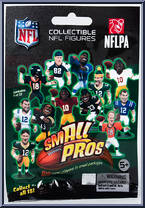 Troy Polamalu from McFarlane's Sports Picks - NFL - Small Pros - Series 1 manufactured by McFarlane [Front]