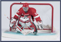 Dominik Hasek from McFarlane's Sports Picks - NHL - Series  2 manufactured by McFarlane [Loose]
