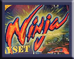 Ninja Fighter