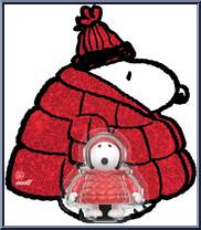 Snoopy Puffy Coat (Red Glitter) from Peanuts - ReAction Figures manufactured by Super7 [Front]