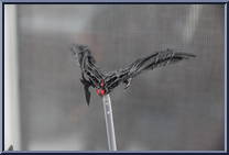 Falconer Predator from Predator - Predators manufactured by Hot Toys [Loose]