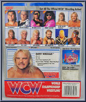 Barry Windham (Blue Trunks) from WCW - Series 2 - Released in UK manufactured by Galoob [Back]