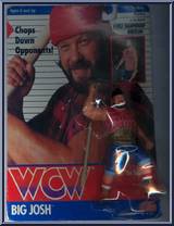 Big Josh Action Figure
