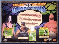 Heavyweight Champions - Hollywood Hogan / Goldberg / Sting from WCW - Multi-Packs manufactured by Toy Biz [Back]