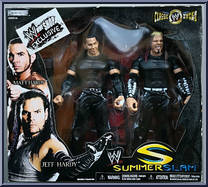 Hardy Boys from WWE Classic Superstars - Exclusives manufactured by Jakks Pacific [Front]