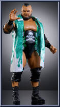 Bronson Reed Action Figure