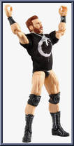 Sheamus Action Figure