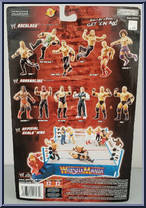 Ric Flair from WWE Pay Per View - Series 13 - Backlash manufactured by Jakks Pacific [Back]
