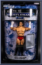 CM Punk Action Figure
