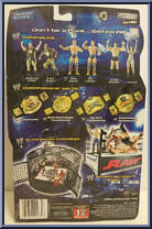 Tajiri from WWE Ruthless Aggression - Series 10.5 manufactured by Jakks Pacific [Back]