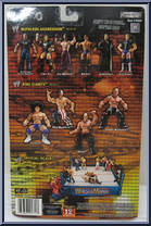 Rob Van Dam from WWE Ruthless Aggression - Series 16.5 manufactured by Jakks Pacific [Back]