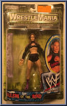 Ivory from WWF Titan Tron Live - Rulers of the Ring 1 manufactured by Jakks Pacific [Front]