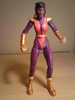 Frenzy (Acolyte) (Marvel Legends) Custom Action Figure