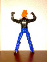 Ghost Rider (Ghost Rider) Custom Action Figure