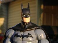 Batman (DC Universe) Custom Action Figure