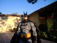 Batman (DC Universe) Custom Action Figure