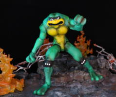 BattleToads (Battletoads) Custom Action Figure [Zits]