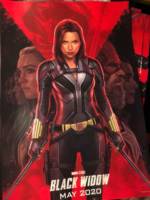 Black Widow Solo Movie Suits 3.75 (pair) (Marvel Universe) Custom Action Figure [Inspiration 2]