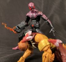 Spider-Man Earth 70105 (Bruce Banner) (Marvel Legends) Custom Action Figure