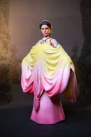 Padme Amidala (Star Wars Ep II) (Star Wars) Custom Action Figure