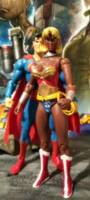 Amazon Warrior (DC Direct) Custom Action Figure