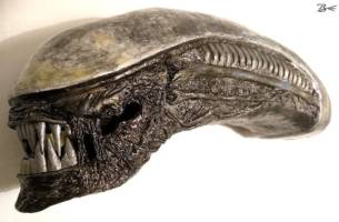 Alien Xenomorph Head - scratch-built (Aliens) Custom Statue / Bust