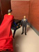 Lex Luthor CW (Arrowverse) (Crisis on Infinite Earths) (Supergirl) (Jon Cryer) (DC Universe) Custom Action Figure