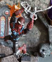 Spider Man (Spider-Man: Shattered Dimensions) Custom Action Figure