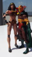 D.C. Legends Big Barda/ Mr. Miracle 2-pack (DC Universe) Custom Action Figure