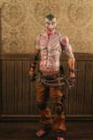 Arkham asylum joker (Batman) Custom Action Figure