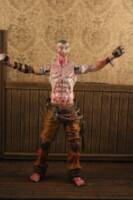 Arkham asylum joker (Batman) Custom Action Figure