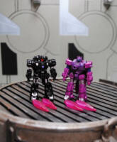 Fracas & Shrute (Transformers) Custom Action Figure