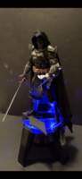 The BatLiege (Batman) Custom Action Figure