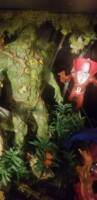 Swamp Diorama (DC Universe) Custom Diorama / Playset