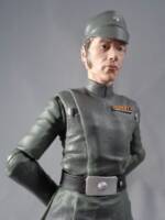 Chief Moradmin Bast (Star Wars) Custom Action Figure