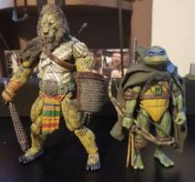King Lionheart (Teenage Mutant Ninja Turtles) Custom Action Figure