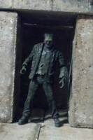 Frankenstein's Creature (Horror) Custom Action Figure