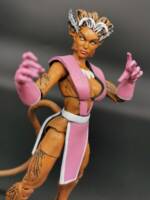 Feral V4 (Marvel Legends) Custom Action Figure