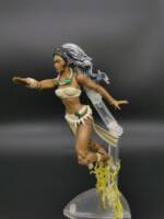Storm (Savage Land) (Marvel Legends) Custom Action Figure