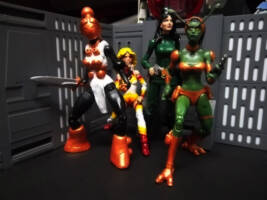 Cilicia, Acroyear Warrior and Micronaut (Marvel Legends) Custom Action Figure