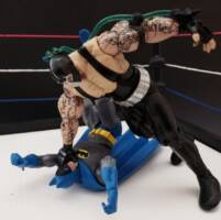 Bane (wrestling style) (DC Universe) Custom Action Figure