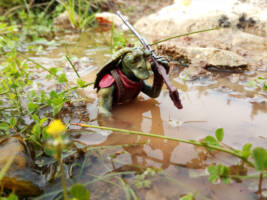 Gungan Hunter (Star Wars) Custom Action Figure